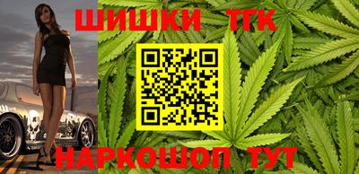 крисы Кунгур